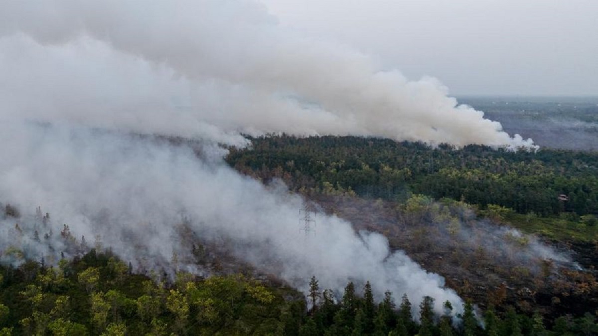 Media Asing Ramai-ramai Sorot Kebakaran Hutan di Kalimantan, Singgung 95.000 Hektar Lahan